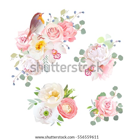 Spring delicate bouquets and cute robin bird vector design objects. Peachy and pink roses, peony, carnation, orchid, white poppy, ranunculus flowers, eucalyptus. All elements isolated and editable.
