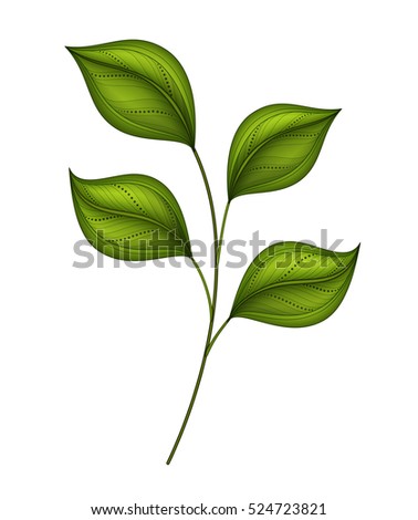 Vector Beautiful Leaf, Object Isolated on White Background. Floral Design Element
