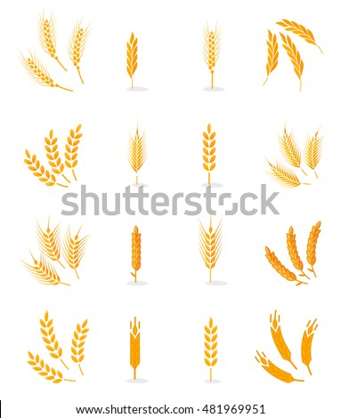 Cereals Icon Set Rice Wheat Corn Stock Vector 509511655 - Shutterstock