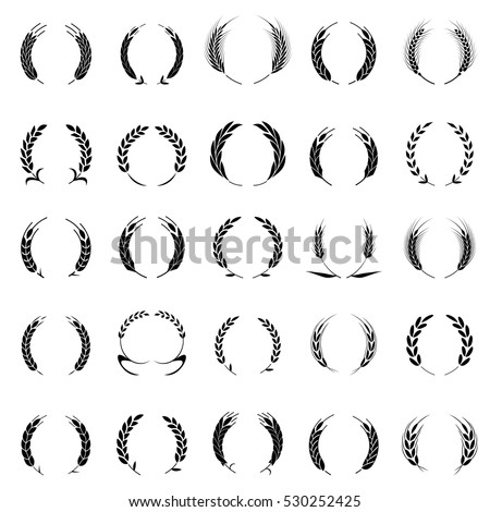 Gold laurel wreath - a symbol of the winner. Wheat ears or rice icons set. Agricultural symbols isolated on white background. Design elements for bread packaging or beer label.
