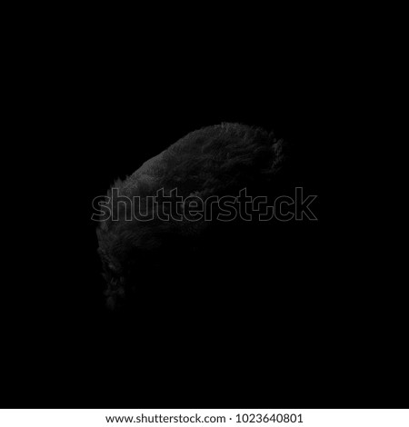 Mysteries Object Thick Hairs On Black Stock Illustration