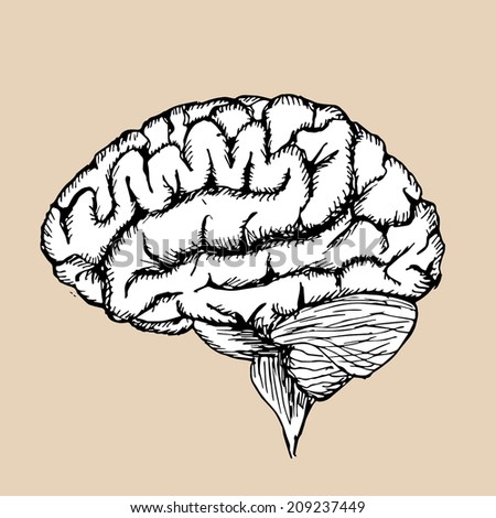 Black White Human Brain Jpg Stock Illustration 68481421 - Shutterstock