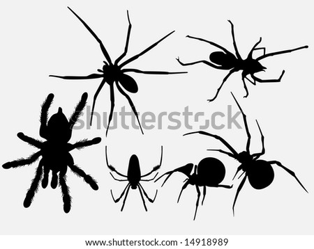 Set Black Silhouette Spider Icon Isolated Stock Vector 296324612 ...