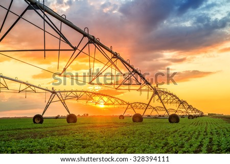 Automated farming irrigation sprinklers system on cultivated agricultural landscape field in sunset