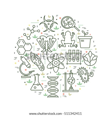 Thin Line Biology Laboratory Workspace Science Stock Vector 316196051 ...