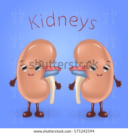 Cartoon Kidneys Stock Vector 575242594 - Shutterstock