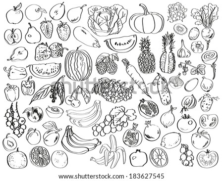 Fruit Garden Stock Vectors & Vector Clip Art | Shutterstock