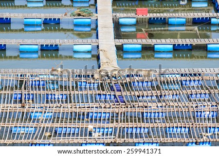 Float fishing village, Long Son, Long Hai, Ba Ria- Vung Tau Vietnam. People living and doing feed fish industry at floating village.