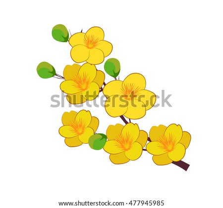Yellow Apricot Flower, traditional lunar new year in Vietnam