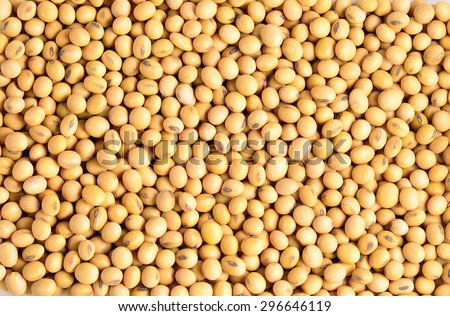 Macro shot of soybeans fills the frame