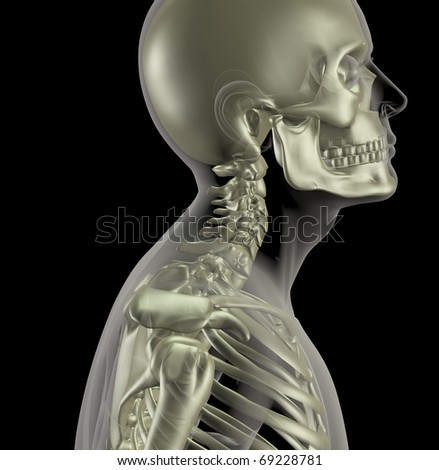 Human neck Stock Photos, Images, & Pictures | Shutterstock