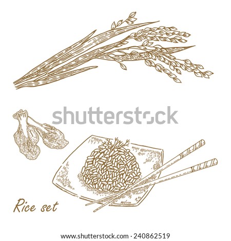 Rise set. Hand drawn vector illustration rice plant, rice porridge in sketch style