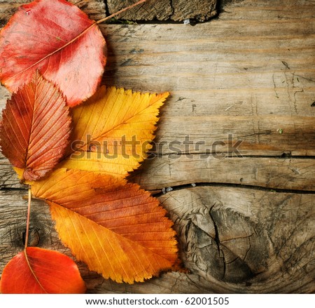 Autumn Leaves over wooden background.With copy space