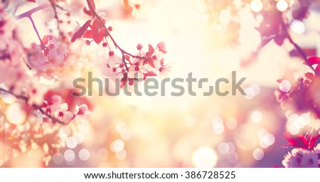 Spring border or background art with pink blossom. Beautiful nature scene with blooming tree and sun flare. Sunny day. Spring flowers. Beautiful Orchard. Abstract blurred background. Springtime