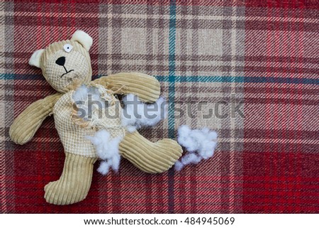 teddy bear with stuffing coming out