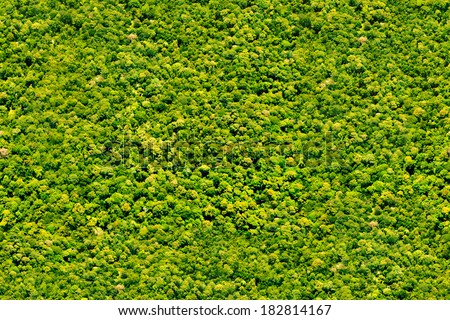 Trees Topview Seamless Texture Stock Photo 182814167 - Shutterstock