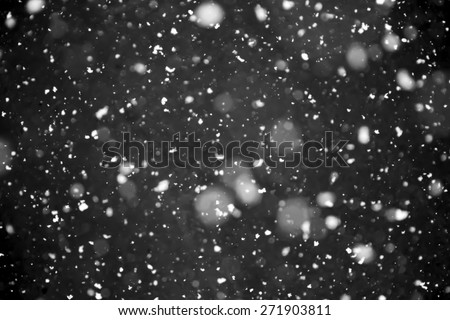 Snowfall on black background - design element