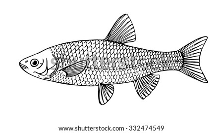 Australian Aboriginal Style Rainbow Fish Hand Stock Illustration