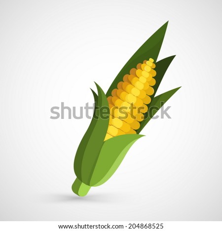 corn vector illustration