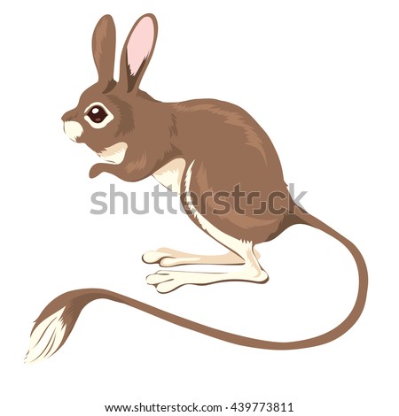 Jerboa Stock Images, Royalty-Free Images & Vectors | Shutterstock