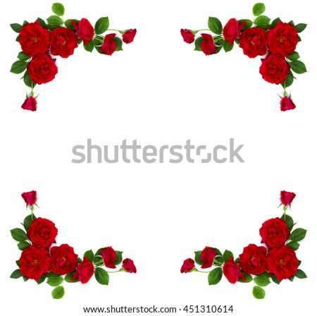 Frame Red Roses Shrub Rose On Stock Photo 451310614 - Shutterstock