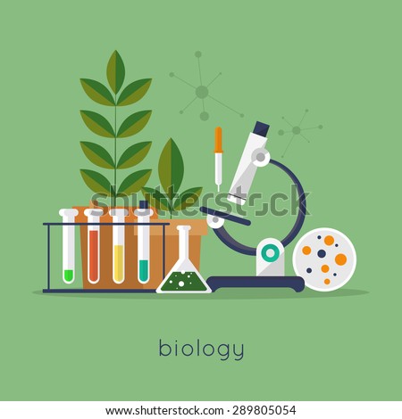 Biology Laboratory Workspace Science Equipment Concept Stock Vector ...