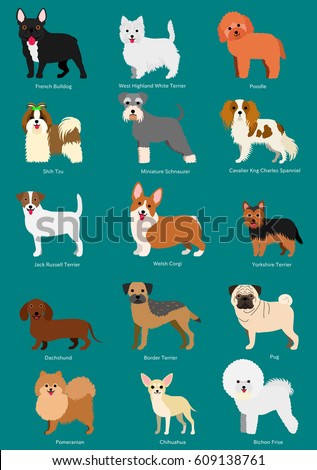 Small Dog Breeds Set Stock Vector 609138758 - Shutterstock