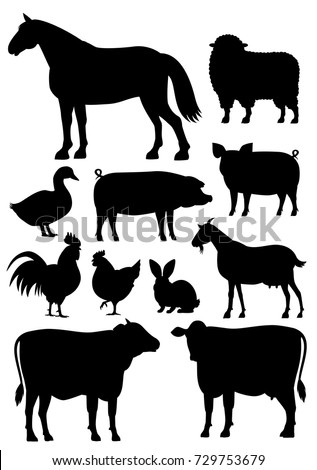 Small Dog Breeds Set Stock Vector 609138758 - Shutterstock