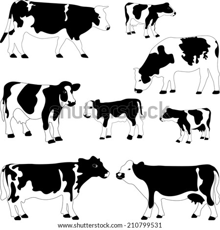 Cows Set Vector Illustration Stock Vector (Royalty Free) 210799531 ...