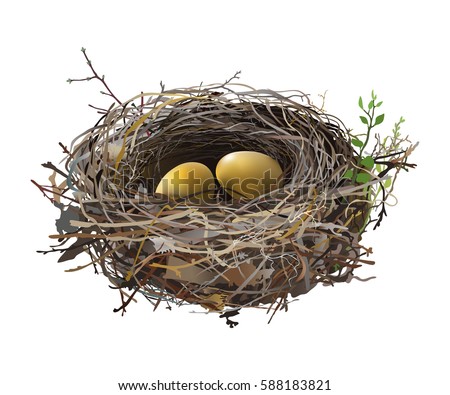 Eggs In Nest Stock Images, Royalty-Free Images & Vectors | Shutterstock