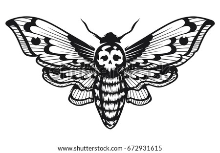 skull deaths head hawk moth sitting stock vector 672931618 skull deaths head hawk moth sitting stock vector 672931618