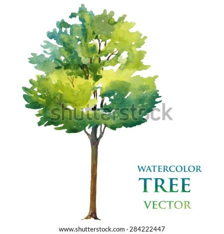 Watercolor Tree Vector de stock (libre de regalías)284222447; Shutterstock