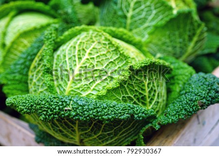 cabbage in french cabbage in french