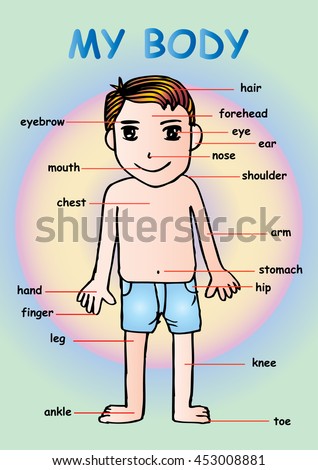 Vocabulary Worksheet Parts Body Stock Vector 104517467 - Shutterstock