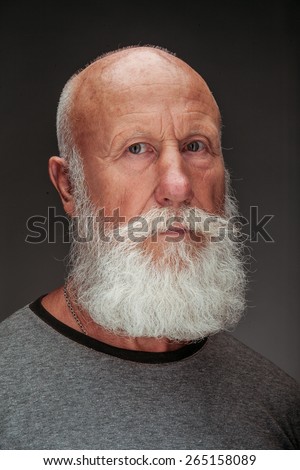 Old Man Long Beard Stock Photos, Images, & Pictures | Shutterstock