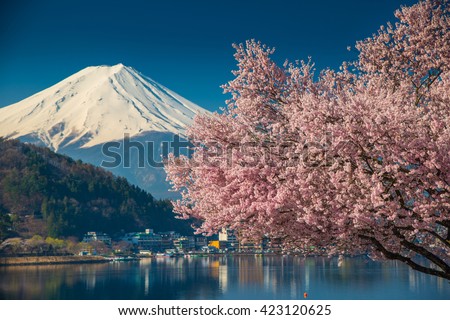 Red Tree Stock Photo 66195352 - Shutterstock