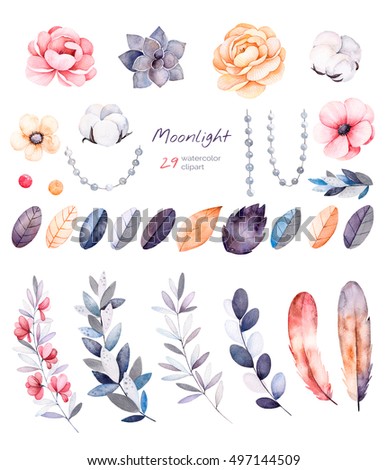 Beautiful winter collection with branches,cotton plants,flowers,strings of pearls,colorful leaves.Winter floral collection with 29 watercolor elements.Set of floral elements.Moonlight collection.
