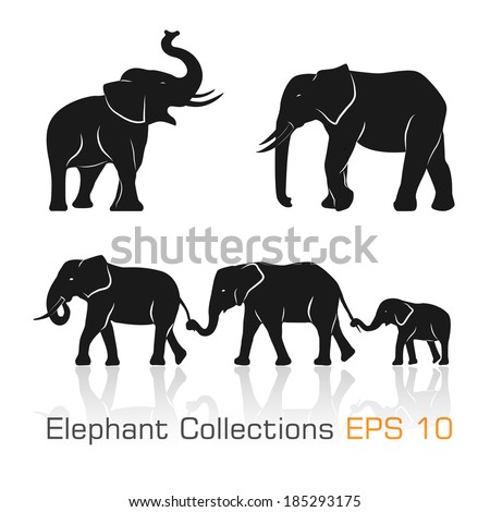 Set of black & white elephants in different poses - Vector illustration