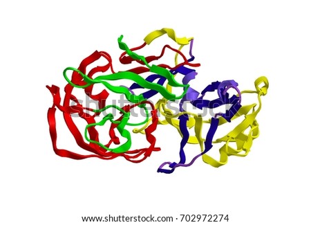 Molecular Structure Digestive Protein Pepsin Enzyme Stock Illustration