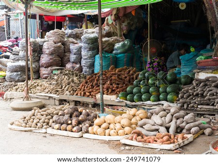Vinh Long, Vietnam - Nov 30, 2014: Tropical fruits displayed at Vinh Long fruit market, Mekong delta. The majority of Vietnam's fruits come from the many orchards of the Mekong Delta