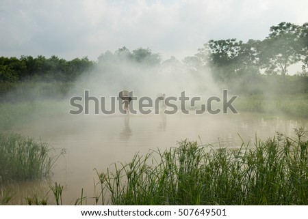 Bac Ninh, Vietnam - May 29, 2016: Children catching fish by fishing bamboo trap - the old traditional way, on pond in Bac Ninh province, with smoke from rice straw burning.