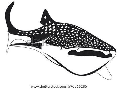 Free Free 234 Whale Shark Svg SVG PNG EPS DXF File