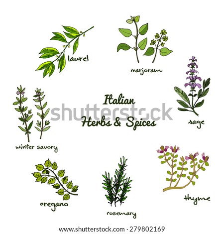 herbal medicine topic