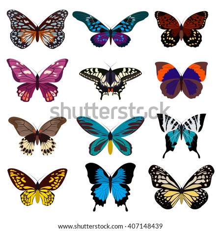 Butterfly Stock Images, Royalty-Free Images & Vectors | Shutterstock