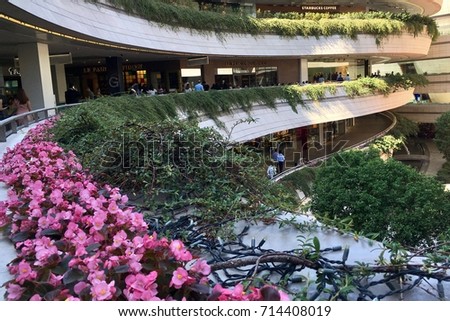 purpose of shopping malls The purpose of a shopping mall having a food court is to encourage shoppers to not stress about essentials such as food, and water, which helps to keep the customers shopping for more time this . purpose of shopping malls The purpose of a shopping mall having a food court is to encourage shoppers to not stress about essentials such as food, and water, which helps to keep the customers shopping for more time this .