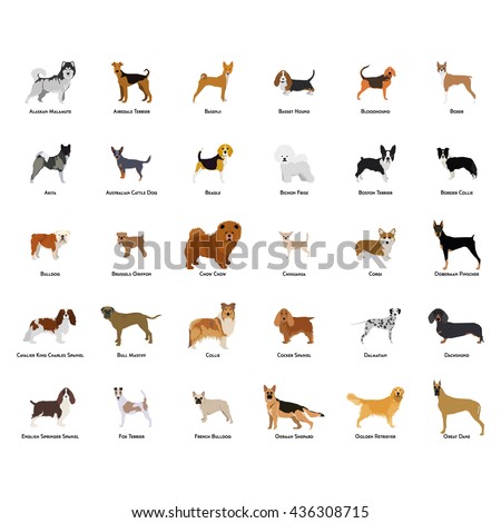 Breed Stock Images, Royalty-Free Images & Vectors | Shutterstock