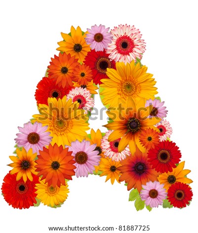 Heartshaped Arrangement Brightly Coloured Gerbera Flowers Stock Photo ...