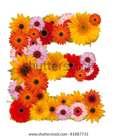 E Flower Alphabet Isolated On White Stock Photo 56062561 - Shutterstock