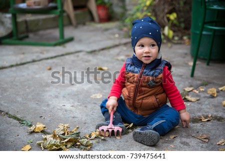 stock-photo-baby-boy-playing-with-autumn-leaves-month-old-739475641.jpg