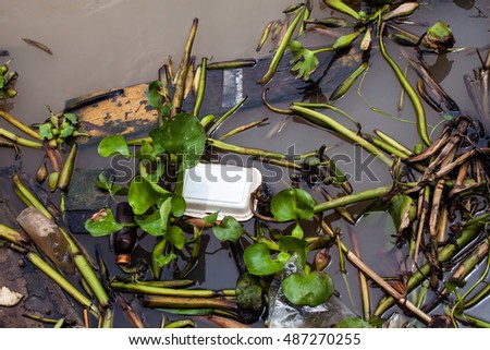 water pollution environmental